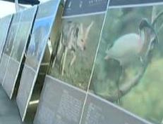 2016青岛市全国科普日活动 孙鼎体验科普日上的好玩东东