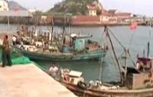 沙子口海鲜批量上市 红头鱼卖出白菜价