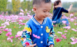 享受花朵的拥抱爱抚