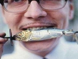吃鱼不识鱼 怎么办