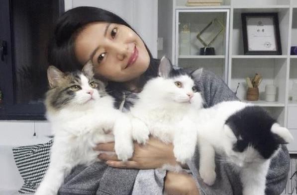 高圆圆发微博 网友猜测怀孕了