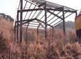 藏身山脚洼地  违建大棚屡教不改