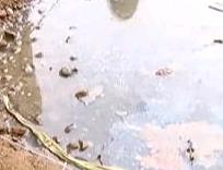 古力冒溢污水横流 院内臭气熏天