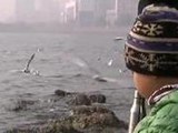 微调查：说说您的新年新愿望
