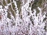 微调查：您遭遇过旅游陷阱吗？