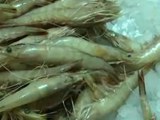 微调查：说说你的春运故事