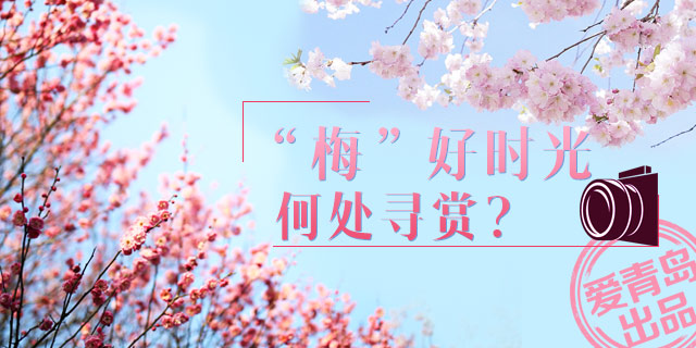 “梅”好时光 何处寻赏？