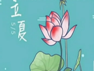 今日立夏 夏天真的来了吗？