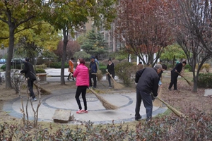 城阳街道董村社区“洁净家园”城市环境品质提升行动日实践活动