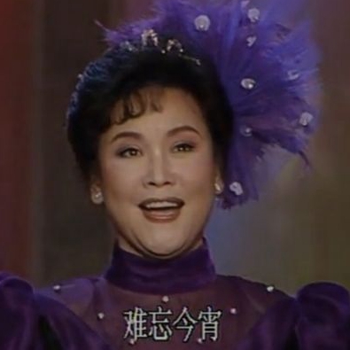 第八集《难忘今宵》