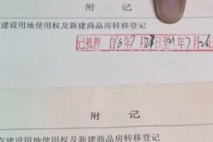 男子诈骗前妻146万 怕露馅竟买来假的房权证