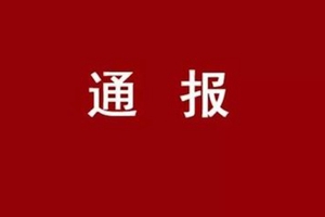 青岛泰安枣庄东营通报8起典型案例 2人接受调查