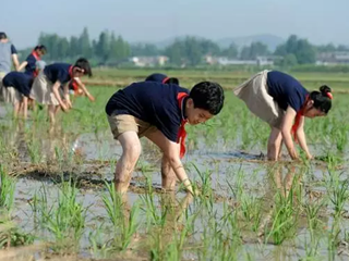 最新！青岛小学、初中课程将有重要调整！增加课时