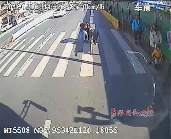 暖心！斑马线上 青岛年轻妈妈这样教孩子感恩(图)