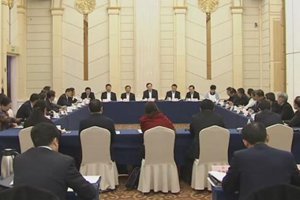 张江汀参加市政协十三届三次会议专题讨论会