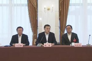 杨军参加市政协十三届三次会议分组讨论