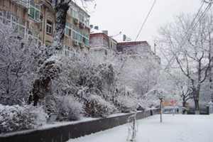 @青岛人，暴跌达9℃！小雨雪！阵风9级！较强冷空气已到货