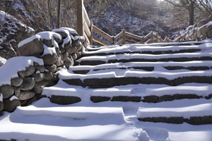 银装素裹仙山圣境 北九水冰雪美景入画来