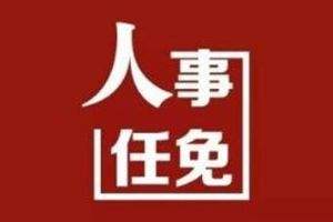 青岛市政府发布任免通知