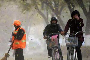 冷空气在拜年路上！最低温度-6℃，青岛发布大风黄色预警