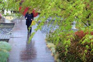 本周太阳公公不上班？小雨来串门儿！升温+降雨来了