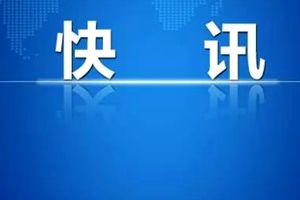 搭载尼泊尔文化、旅游和民航部长的直升机坠毁