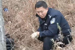 警视：法医——替死者言为活者权