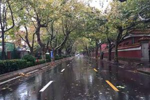 青岛今天8级大风加阵雨 上班路上多加小心!