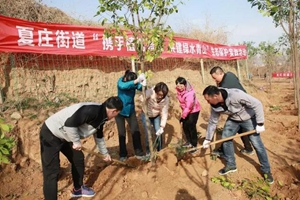 夏庄街道组织开展“全民植树增绿 共建绿水青山”植树节活动