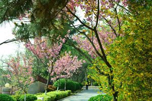 脱秋裤！本周六气温有望破20℃ 今日最低气温4℃