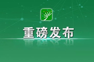 《政府工作报告》定了！关于教育的10处增补是什么信号？