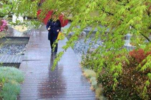 气温狂降14℃，还有3场雨！青岛人挺住，还有一个好消息