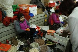 大妈凌晨跑50公里 赶早市把自己的海货都卖掉