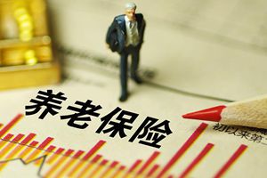 下调了！基本养老单位缴费比例从20%降至16%