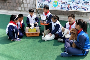 宁安路小学变身“疯狂动物城” 保护地球超越一小时 