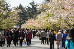 4月春暖花开 市疾控提醒：注意手足口病、食源性疾病