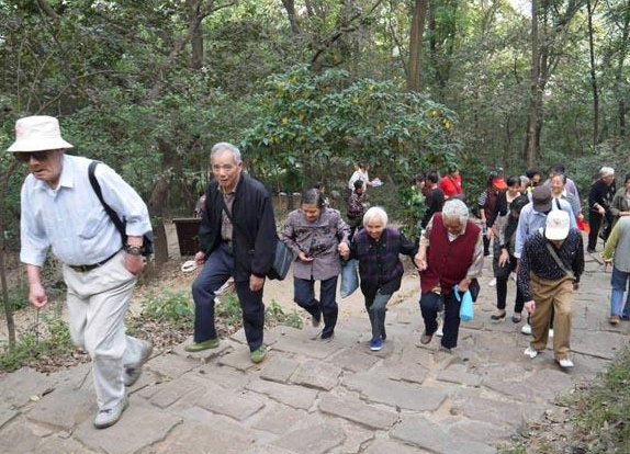 青岛一老人登山晨练后嘴肿脸歪 罪魁祸首竟是…