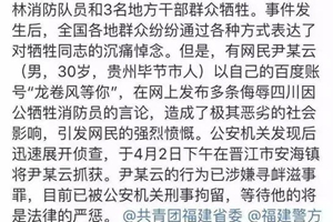  网民辱骂凉山灭火牺牲英雄被刑拘 应急管理部:人渣