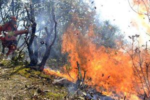 凉山冕宁县发生森林火灾 当地组织460人扑救