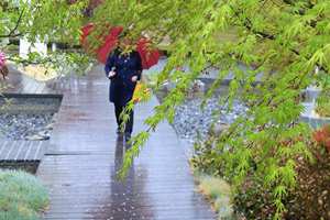 冷空气玩大了！青岛要连下三天雨，五一后才能脱大衣