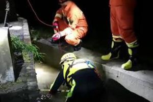  深圳强降雨死亡人数升至10人 搜救工作仍在进行