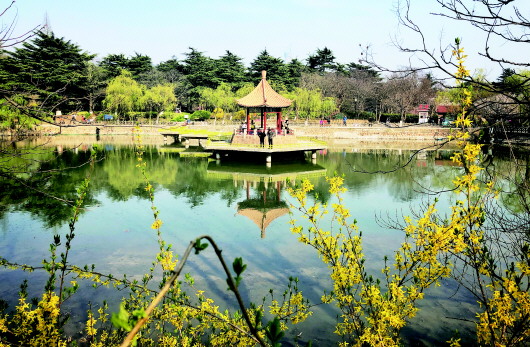 青岛中山公园小西湖很"清新" 不少游人休闲赏景