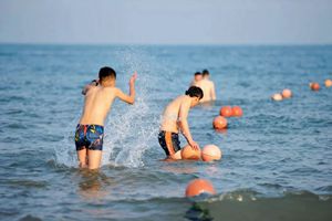 青岛终…终于开春成功 竟然直奔30℃一秒入夏