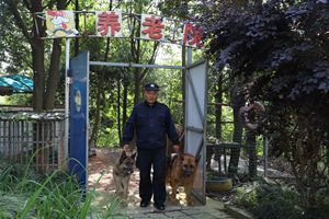 杭州一民警为26条警犬建养老院：让它们有尊严地过完这一生