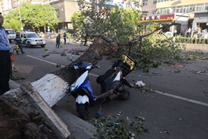 北京遭强风袭击！4人身亡 航班经历惊魂一刻