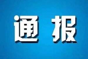 市纪委通报4起联系群众、服务群众方面形式主义官僚主义典型问题