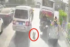 海信桥上丢一箱雪糕的快递小哥 这位司机在等你