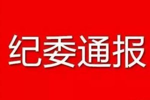 青岛市纪委通报4起形式主义官僚主义典型问题