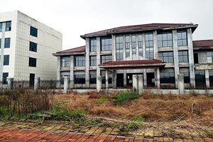 征地万亩粮田建产业园：国家示范先锋缘何沦为“烂摊子”