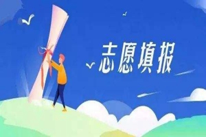 高考志愿填报咨询平台（面向山东）开通上线